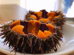 -海胆小馆(东北水饺·春柳店)