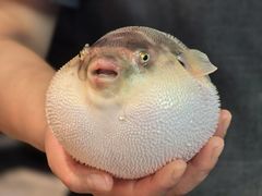 -永安鱼庄·镇江菜(东吴路店)