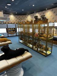 -奈尔宝家庭中心·亲子餐厅(鄞州万达店)