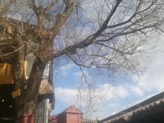 -丽江古城第一观景台