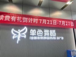 -单色舞蹈