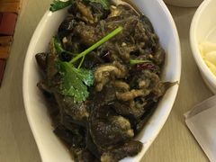 -金豆角砂锅焖面(安贞店)