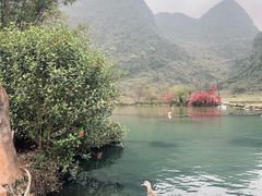 -靖西鹅泉风景区