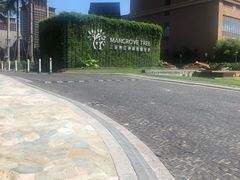 -三亚湾红树林度假世界(木棉酒店)