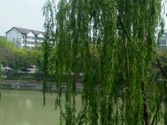 android_upload_pic-望江楼公园