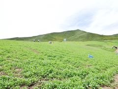 -扁都口生态休闲旅游区