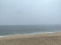 -玫瑰海岸文化旅游度假区