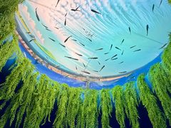 -欢乐海岸海洋奇梦馆