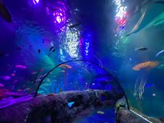 -沈阳海洋探索中心