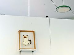 -有猫主题·治愈系猫咖(曾厝垵店)