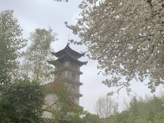 -台儿庄古城