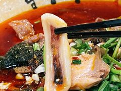 -芙蓉树下冒菜·麻辣烫(农院店)