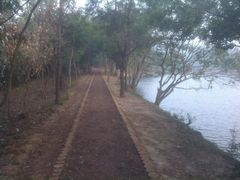 android_upload_pic-南京市无想山景区