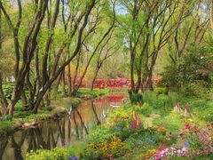 -上海共青森林公园