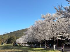 -孙武文化园-停车场