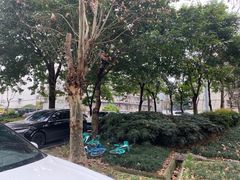 -高记什邡肖麻辣(成都店)