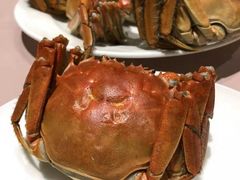 -王宝和酒家(黄浦店)