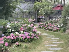 -嘉北郊野公园