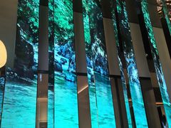 -桂满陇·海市蜃楼·黑金(国金店)