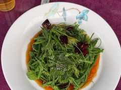 -夜不收荤豆花(大邑总店)