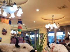 -如意林卡藏餐吧 (九寨沟店)
