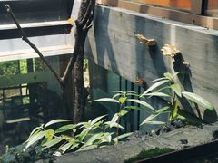 -乐领拈花溪·林涧食韵