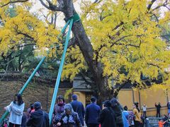 -无锡惠山寺
