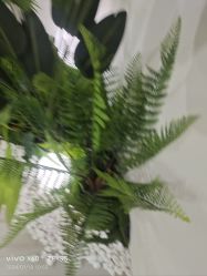 -HEYAN荷妍专业脱毛连锁机构