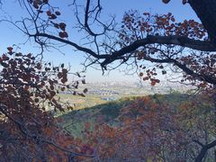 -北京西山国家森林公园