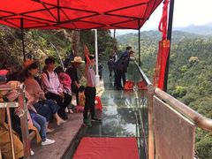 -九龙江国家森林公园