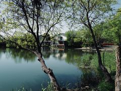 -新荣记(西溪湿地店)