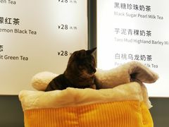 -猫的天空之城概念书店(杭州南宋御街店)