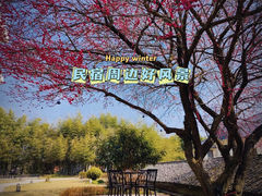 -莫干山风景区