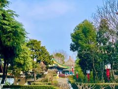 -阅江楼风景区