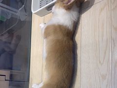 -圆融星座购物中心