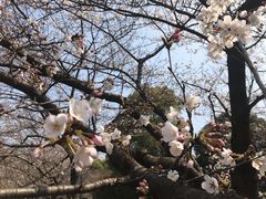-堤角公园