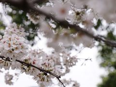 -玉山公园