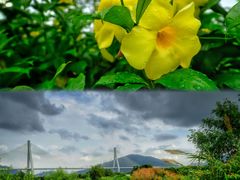 -芒洲湿地公园