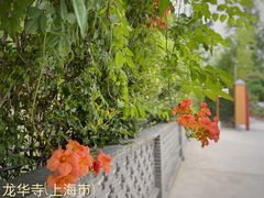 -龙华寺