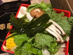 -吉野家(红博中央公园店)