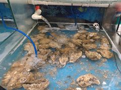 -鑫渔港海鲜本地菜·山海关浑锅(东戴河店)