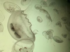 -沈阳海洋探索中心