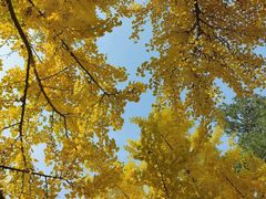 -中国建设银行(北京清华园支行)