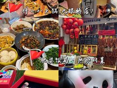 -成都大熊猫繁育研究基地