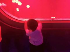 -福州罗源湾海洋世界旅游区