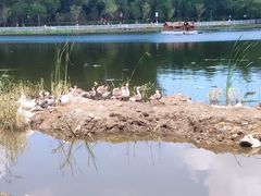 -长春市南湖公园