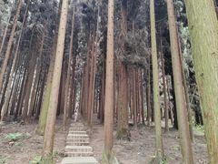 -太阳湾风景区