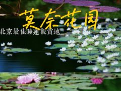 -国家植物园南园