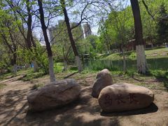 -长白岛森林公园