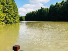 -上海海湾国家森林公园